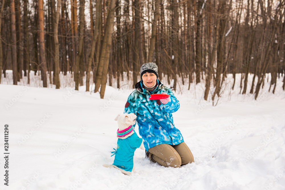 Jack Russell Terrier dog with owner woman playing in the winter outdoors. Jack Russell Terrier dog with owner woman playing in the winter outdoors.