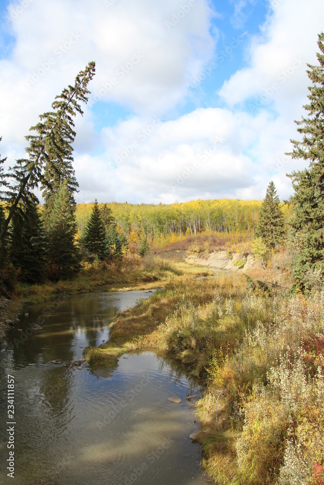 Hints Of Autumn On The Creek, Whitemud Park, Edmonton, Alberta