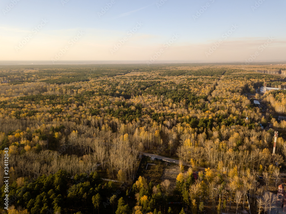 Aerial view of the landscape in the forest with green and yellow trees with a road in the middle of a clear autumn day under a blue sky
