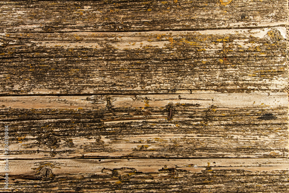 Black wooden background texture High quality. Can be used for design as a background or other. Copy space. Wooden black background. Black wooden background texture High quality. Can be used for design as a background or other. Copy space. Wooden black background.