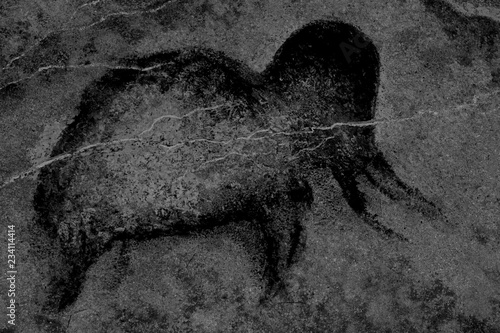 the image of an ancient mammoth on the cave wall. archaeology, era, era.