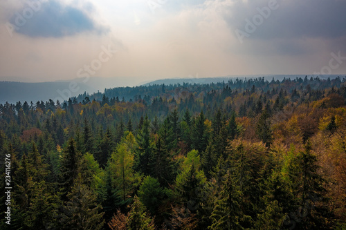 Black Forest in Germany