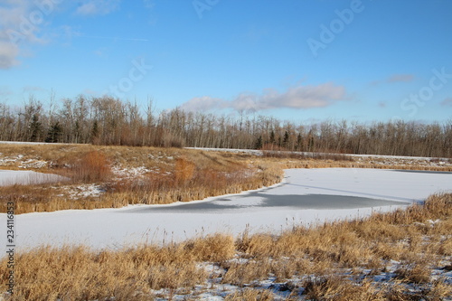 Snow On The Pond  Pylypow Wetlands  Edmonton  Alberta