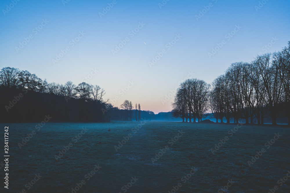 Fototapeta premium Morgennebel