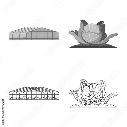 Vector design of greenhouse and plant logo. Collection of greenhouse and garden stock symbol for web.