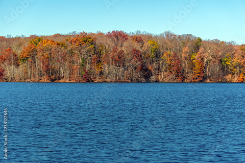 trees with autumn foliage on the lake © DMITRY TILT