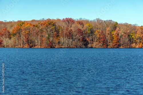 trees with autumn foliage on the lake