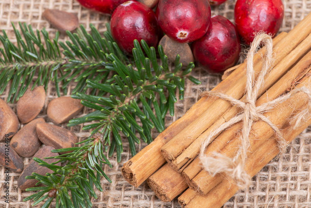 Winter holiday decoration: fraser fir twig, cinnamon sticks, cranberries and pine nuts in shell on burlap background