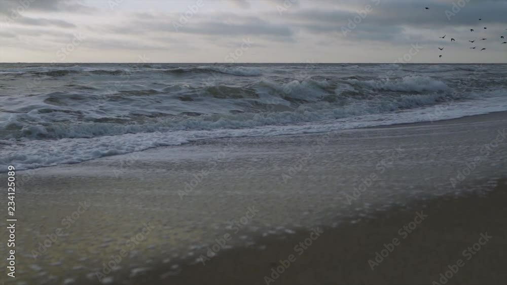 waves on the beach slow motion birds flying over waves on the beach slow motion birds flying over