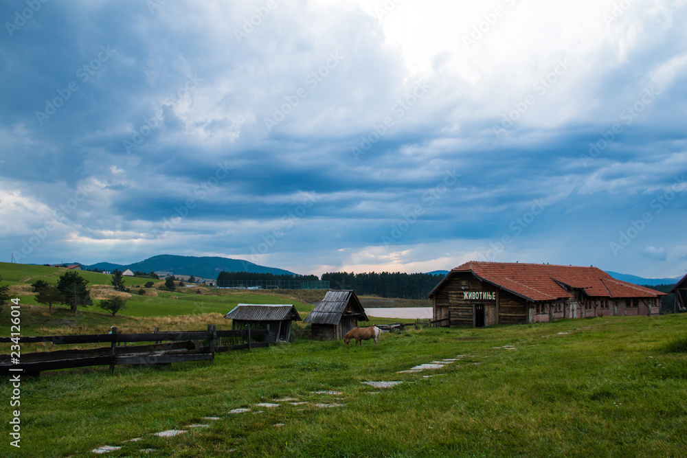 Horse on a green field and the sky covered with thunderclouds