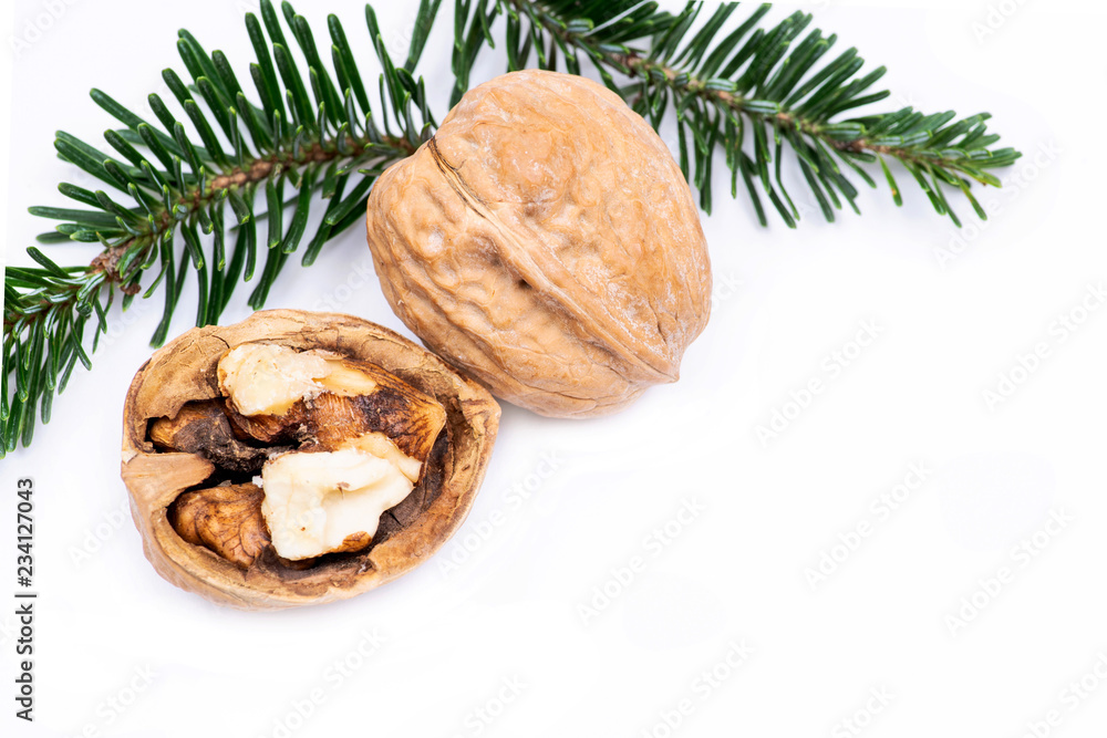 Winter holiday decoration: fraser fir twig and organic raw walnuts isolated on white background Winter holiday decoration: fraser fir twig and organic raw walnuts isolated on white background