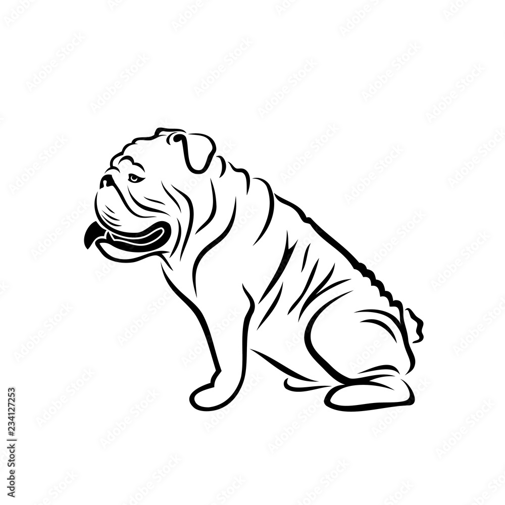 Naklejka premium English bulldog