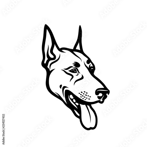 Dobermann dog face
