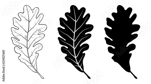 Oak leaf. Linear, silhouette isolated on white background. Vector illustration