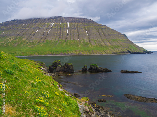 Northern summer landscape with view on beautiful snow covered cliffs, Alfsfell mountain and big bird cliff rocks in Hloduvik cove in Hornstrandir, west fjords, Iceland, green meadow photo