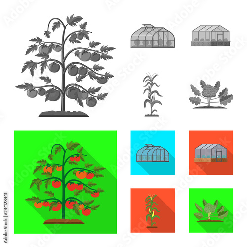Vector design of greenhouse and plant symbol. Collection of greenhouse and garden stock vector illustration.