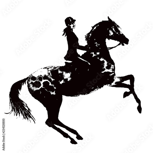 Horseback rider and rearing horse. Black on white monochrome grunge ink hand drawing horseman girl on stallion vector silhouette. England equestrian sport traditional hunting style.