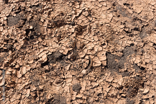 Cracked ground. Earth background. Global warming concept