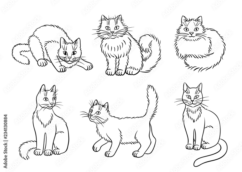 Set of 6 cats in contours - vector illustration Set of 6 cats in contours - vector illustration