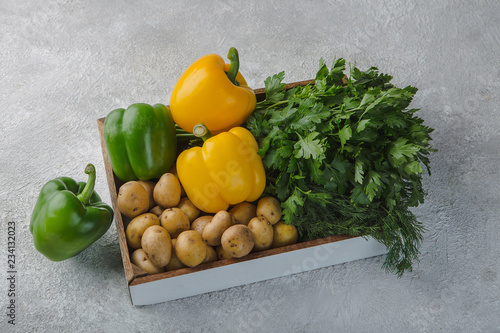 set of fresh vegetables on grey background
