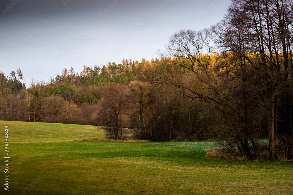 Picturesque landscape, field and forest on sunset Picturesque landscape, field and forest on sunset
