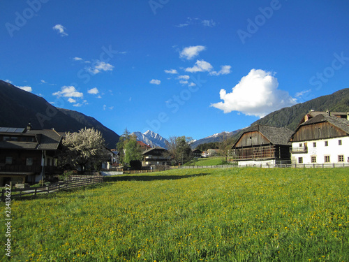 View of an Italian village with an alpine meadow against the background of snowy and green mountains (Dolomites, Italian Alps)