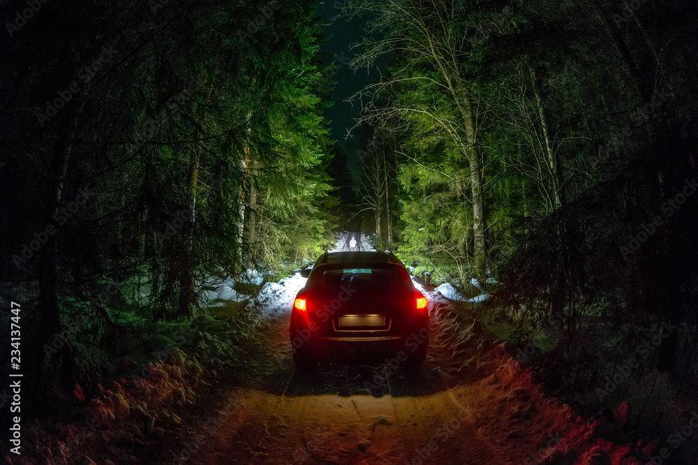 Winter Driving - Lights of car and winter road in dark night forest, big pine trees covered snow