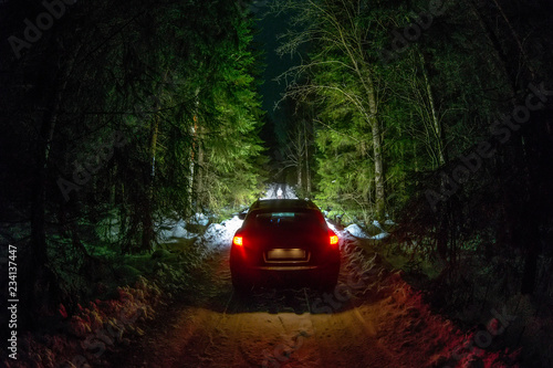 Winter Driving - Lights of car and winter road in dark night forest, big pine trees covered snow © dima