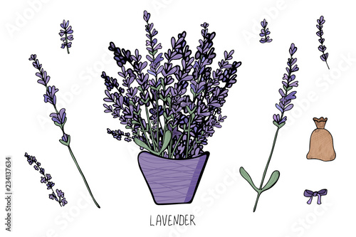 Lavender set composition in doodle style.