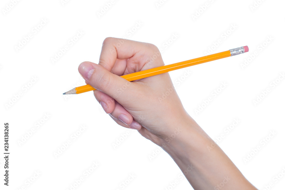 Side profile half turned close up studio photo of woman's hand holding pencil with eraser isolated on white background copyspace mockup Side profile half turned close up studio photo of woman's hand holding pencil with eraser isolated on white background copyspace mockup