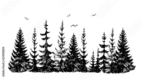 Hand drawn sketch of pine forest. Vector background.