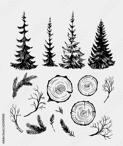 Set of forest elements, fir trees, branches. Hand drawn sketch converted to vector