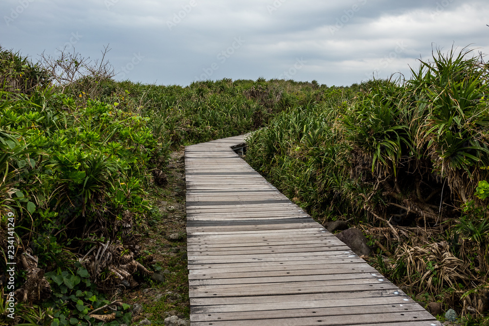 Fototapeta premium Hiking wooden trail path