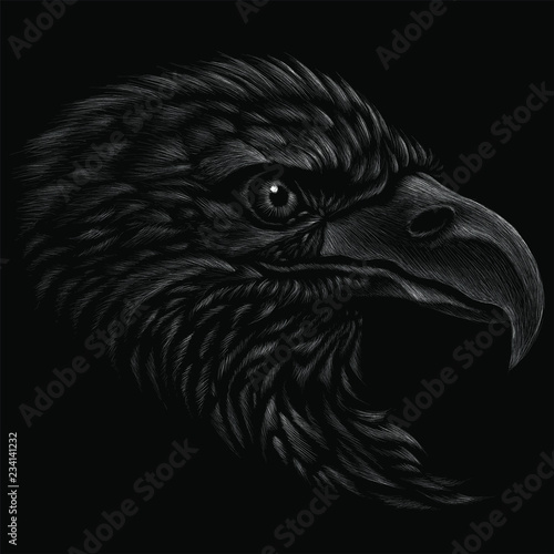  The Vector logo eagle for T-shirt design or outwear.  Hunting style eagle background.