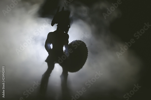 Fototapeta Silhouette of ancient spartan warrior with spear and shield in the smoke