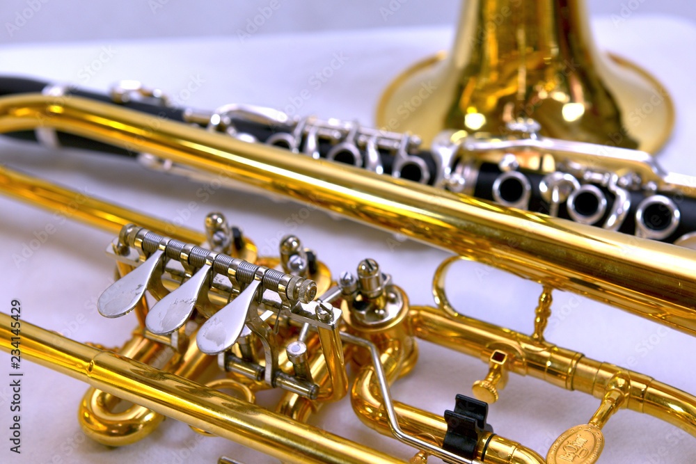 Obraz premium brassmusic