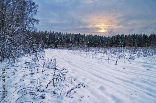 Winter gloomy sunset near the forest © Kushch Dmitry