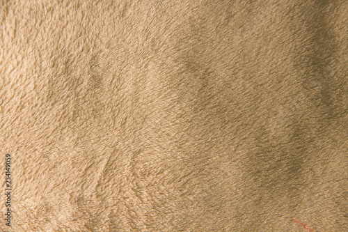 warm beige brown nappy soft natural sheepskin textural background