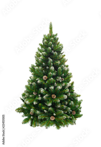 Cuadro en lienzo Green Pine, christmas tree isolated on white closeup