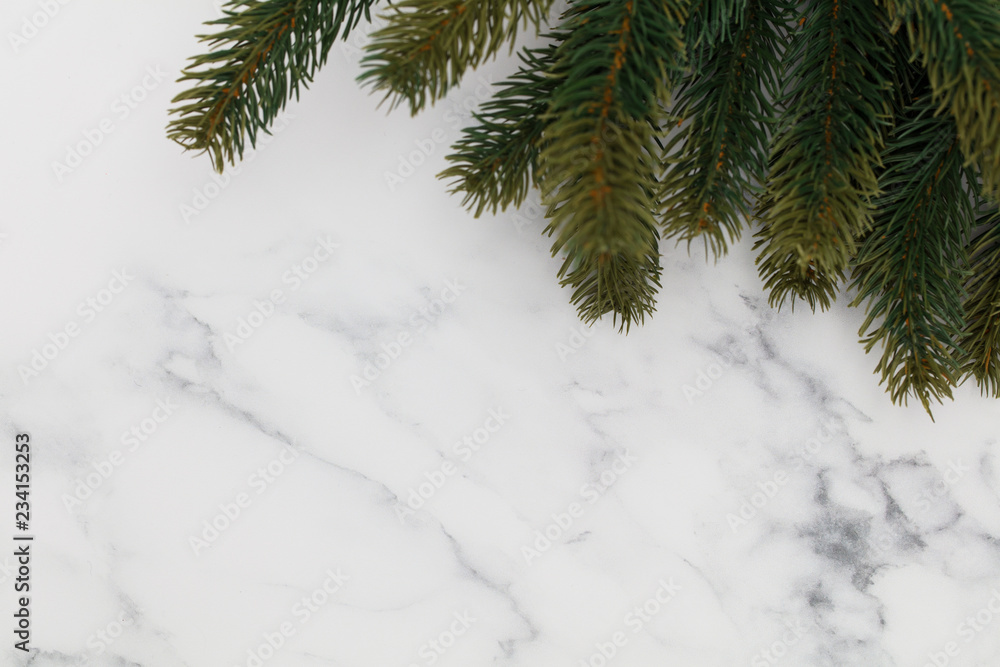 Christmas fir tree branches on a marble background