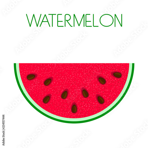 Watermelon. Vector image on isolated background