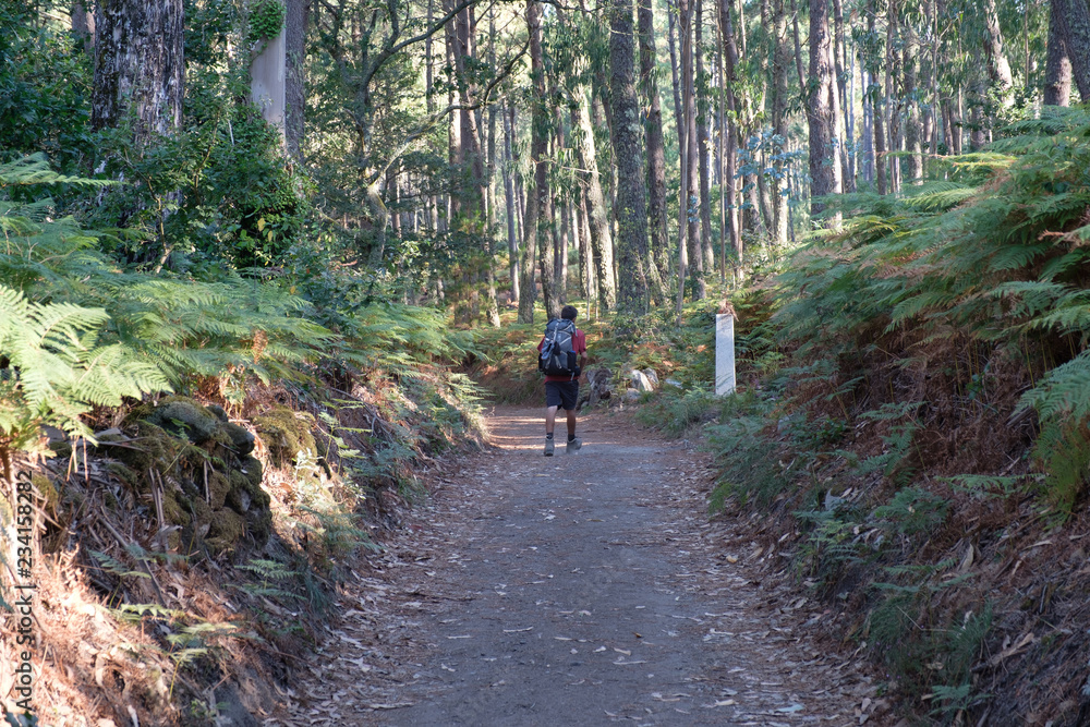 Pilger auf dem Jakobsweg (von Porto nach Santiago de Compostela) Pilger auf dem Jakobsweg (von Porto nach Santiago de Compostela)