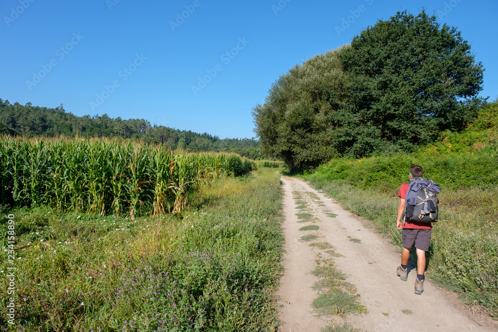 Pilger auf dem Jakobsweg (von Porto nach Santiago de Compostela) Pilger auf dem Jakobsweg (von Porto nach Santiago de Compostela)