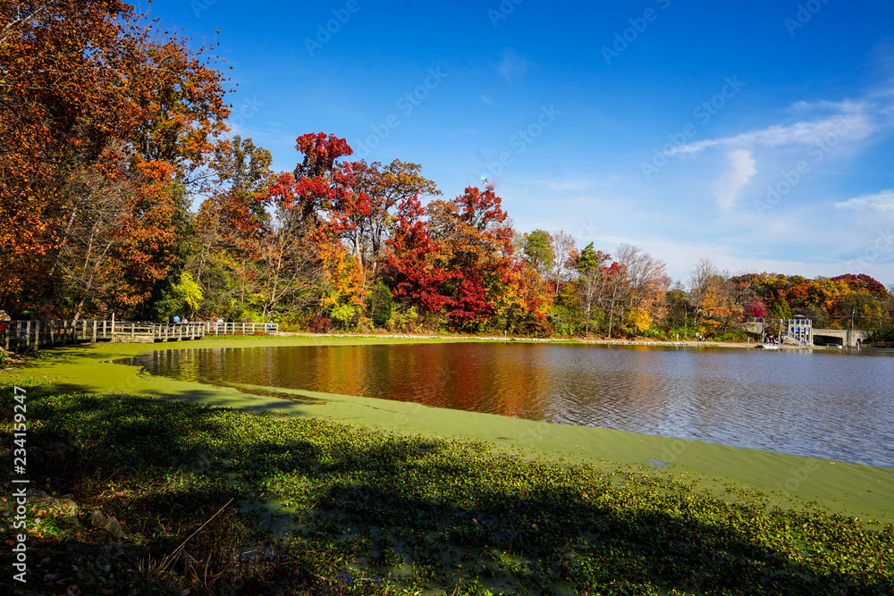Obraz premium Autumn Lakeside