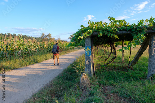 Gelber Pfeil und Pilger auf dem Jakobsweg (von Porto nach Santiago de Compostela)
