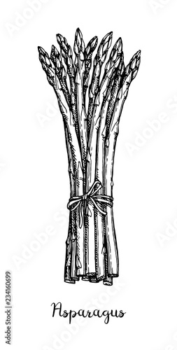Ink sketch of asparagus.