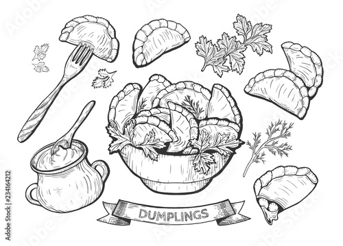 dumplings set illustration photo