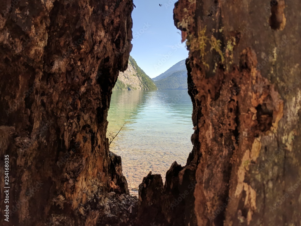 German lake through a gap in a tree