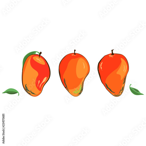 Mango set. Mango ripe mango unripe. Single Mango (typical red/yellow green version - with a little stem. Leaves near. Vector