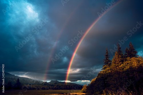 Fotografia A rainbow coming down from stormy skies over the vast forests in the mountains o